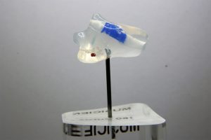 Bouchon d’oreille sur-mesure transparent, modèle utilisé pour le BTP